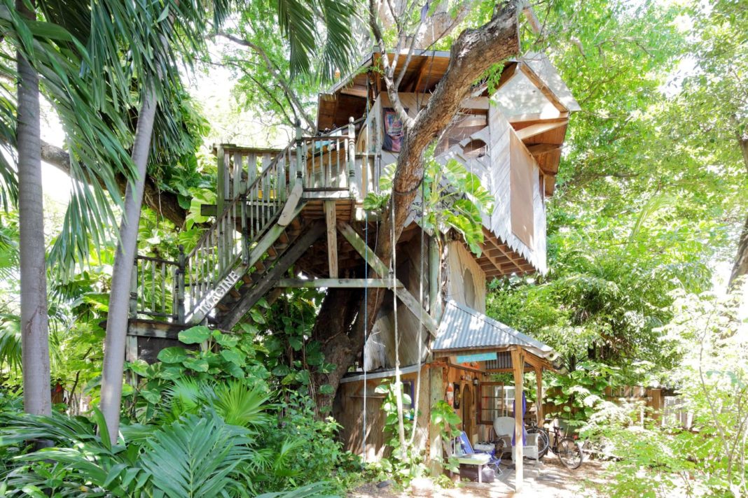 The Coolest Airbnb in Every State: Florida Treehouse Airbnb