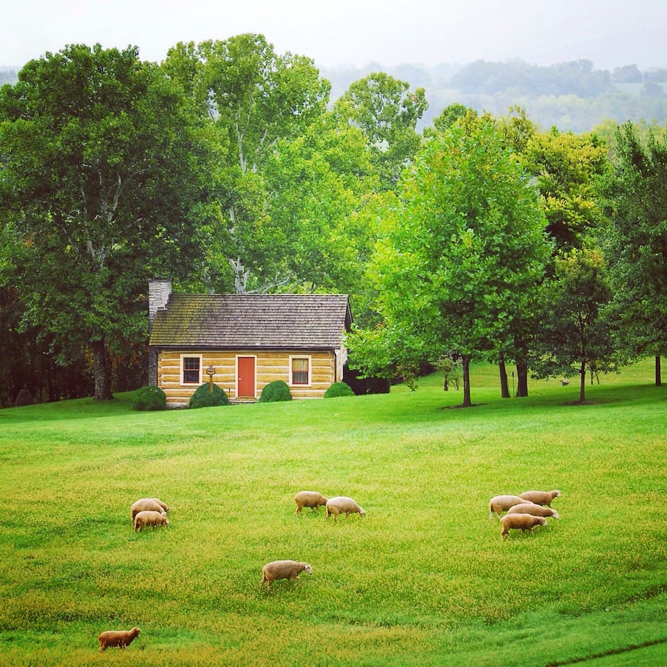 The Coolest Airbnb in Every State: Kentucky Cabin Airbnb