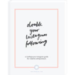 Double Your Instagram Following Free Ebook