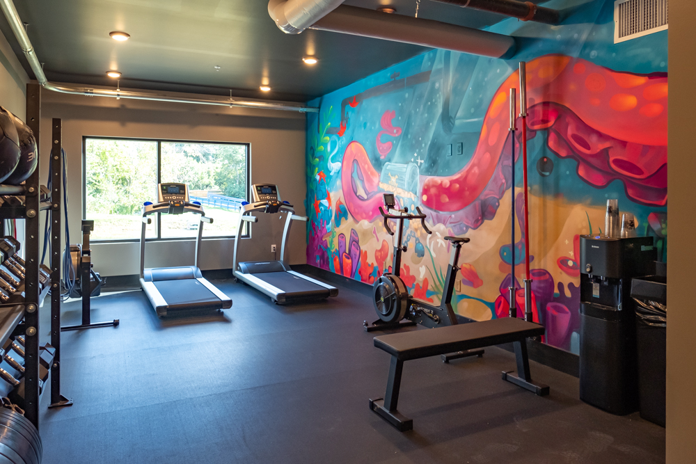 Doghouse hotel fitness room