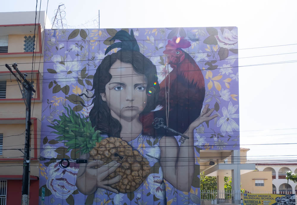 Girl with pineapple and rooster mural