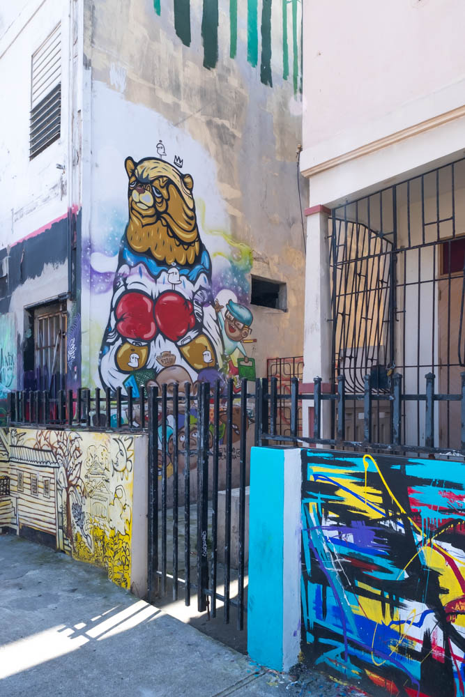 Boxing bear Santurce street art