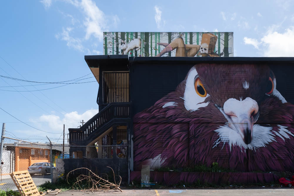 Large hawk mural in Santurce