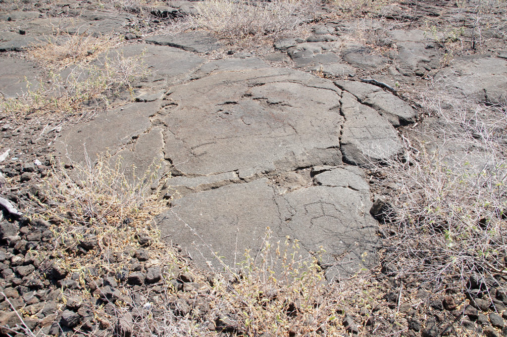 Petroglyph field at Kaloko-Honokohau National Historical Park