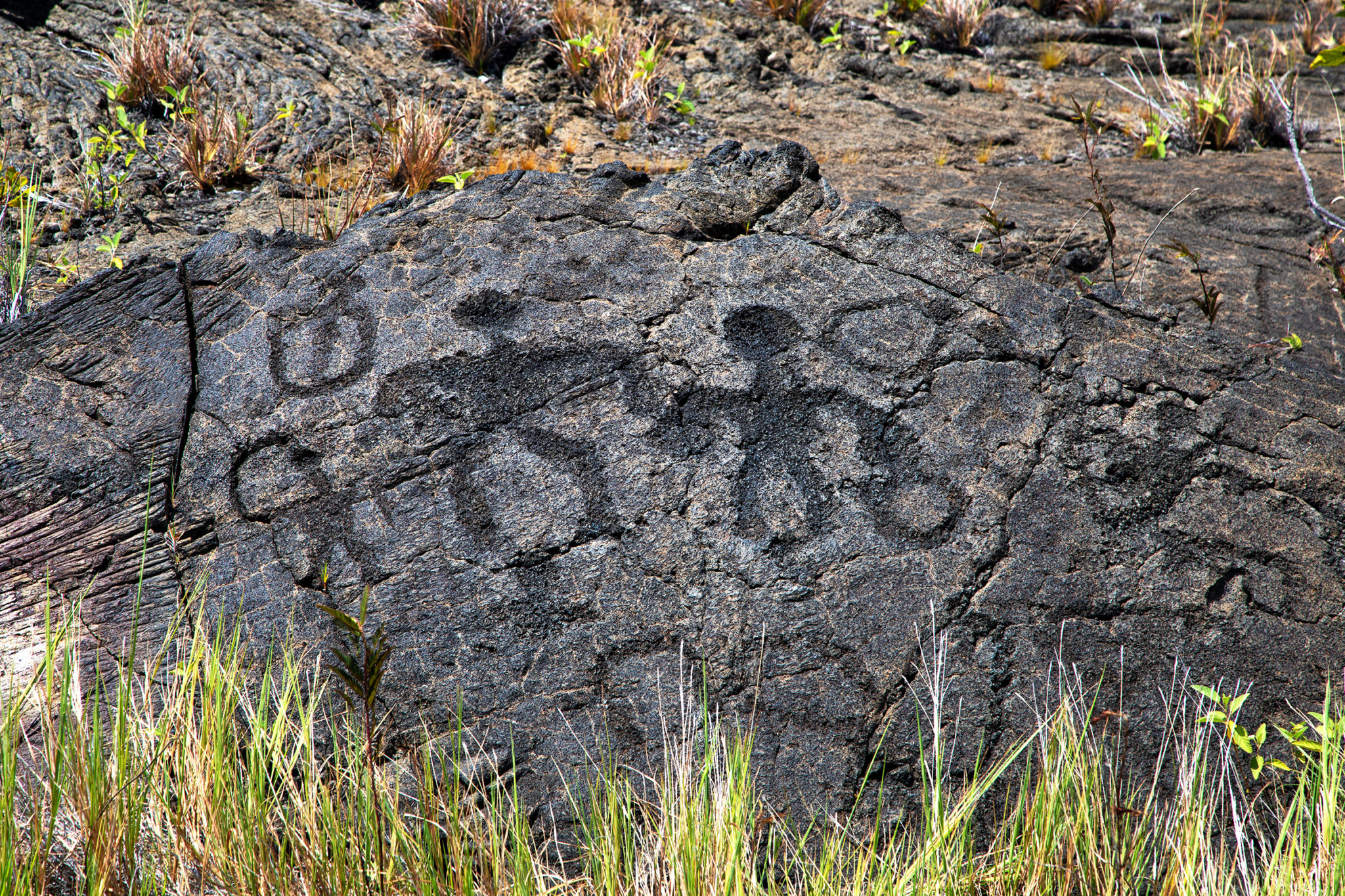 The Best Places To See Petroglyphs On Hawaii S Big Island   Puu Loa Petroglyphs 1 2048x1365 